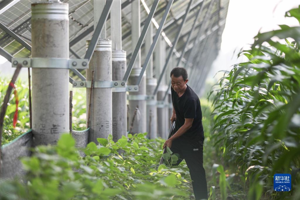 最正规的一元夺宝